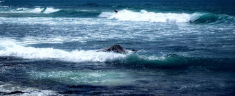 轮廓冲浪者人游乐设施冲浪板蓝色的海水whi
