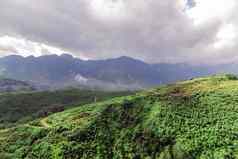 全景山森林风景山黎明雾