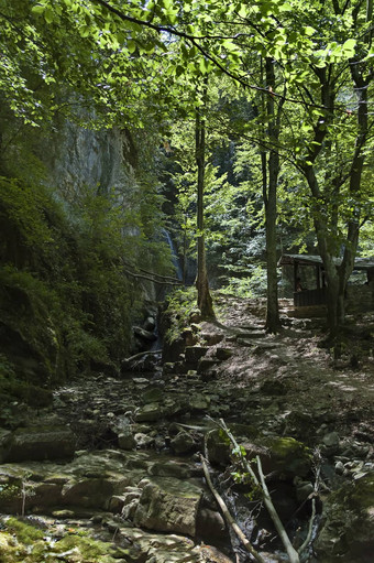 夏天走迷宫泰特文巴尔干半岛高山峰河瀑布正在尝试planina