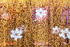 散景背景雪形状黄金黄色的色彩斑斓的快乐圣诞节快乐一年散景照明发光晚上背景散景闪闪发光的光黄金奢侈品背景纹理闪闪发光的壁纸