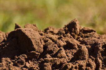 潮湿的肥沃的桑迪土壤污垢<strong>堆</strong>