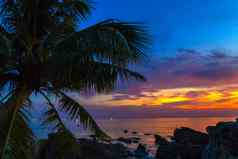 棕榈树海洋美丽的日落