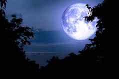 超级完整的蓝色的月亮回来轮廓树云天空