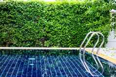 游泳池不锈钢楼梯绿色叶子墙
