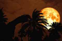 完整的血月亮回来轮廓恐龙公园橙色晚上