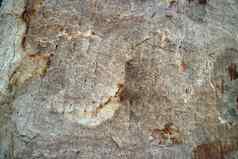 硬岩石花岗岩表面石头室内壁纸