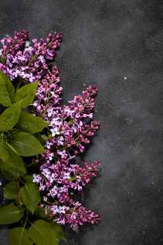 淡紫色花花束黑色的混凝土背景时尚的花问候卡快乐母亲一天