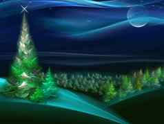 圣诞节Fur-tree晚上森林系列分形世界
