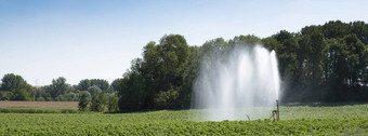 灌溉作物场北法国