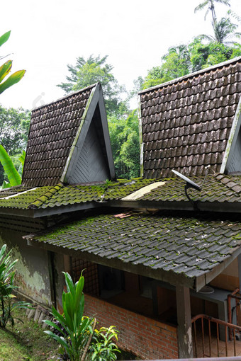 不寻常的体系结构小房子高平铺的屋顶丛林亚洲