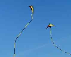 stunt-kites