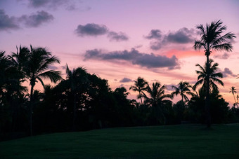 <strong>棕榈</strong>树轮廓热带海滩色彩斑斓的日落