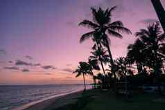 棕榈树轮廓热带海滩色彩斑斓的日落