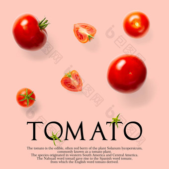 有创意的布局使番茄粉红色的背景有创意的平躺集西红柿简单的文本白色背景复制空间