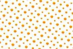 孤立的橘子柑橘类集合背景橘子普通话橙色水果孤立的白色背景
