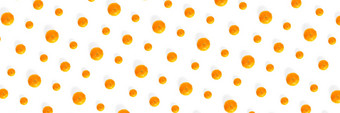 孤立的橘子柑橘类集合背景橘子普通话橙色水果孤立的白色背景横幅