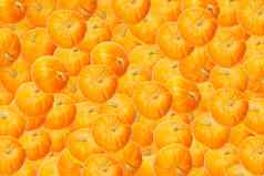 秋天背景使向前南瓜背景橙色微型南瓜感恩节万圣节背景
