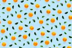 孤立的橘子柑橘类集合背景叶子橘子普通话橙色水果蓝色的背景普通话橙色背景