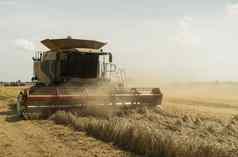 结合收割机农业机收获金成熟的小麦场农业结合收割机收获小麦灰尘稻草空气嘻嘻哈哈农业机械