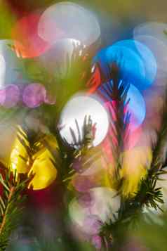轮廓冷杉分支针圣诞节树快乐一年点缀装饰色彩斑斓的散焦模糊的散景背景