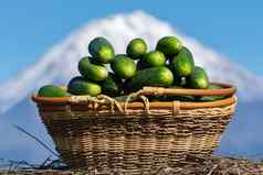 柳条篮子新鲜选有机黄瓜背景火山锥蓝色的天空夏天新鲜健康的生态蔬菜农业农场阳光明媚的天气