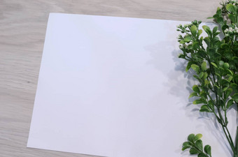 模型卡植物邀请卡环境细节模型明信<strong>片花</strong>白色背景