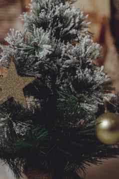 圣诞节表格背景树明星制裁时间