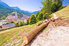 小镇贝希特斯加登山坡上路径切碎树高山土地
