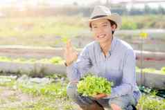 年轻的亚洲男人。农民持有显示新鲜的有机绿色橡木生菜手势农场生产培养收获农业蔬菜业务健康的食物概念