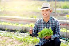 年轻的亚洲男人。农民持有显示新鲜的有机绿色橡木生菜手势拇指农场生产培养收获农业蔬菜业务健康的食物概念