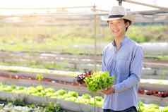 年轻的亚洲男人。农民持有新鲜的有机绿色橡木红色的橡木罗马生菜检查质量水培农场收获农业蔬菜花园业务健康的食物概念