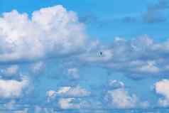鸟飞清晰的蓝色的天空堆白色云海