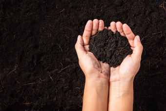 女人手持有堆肥肥沃的黑色的土壤背景