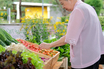 亚洲上了年纪的老女人购买蔬<strong>菜市场</strong>高级生活方式