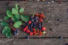成熟的唐棣红醋栗树树莓分支分散木表格
