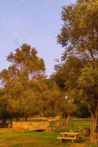 野餐区域秋天树叶海梅德国家公园