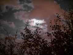 完整的月亮晚上神秘的天空