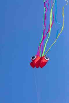 章鱼风筝生动的颜色飞行