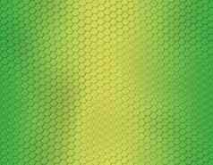 绿色黄色的梯度蛇皮肤模式轮规模