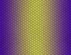 紫罗兰色的黄色的梯度蛇皮肤模式锋利的规模