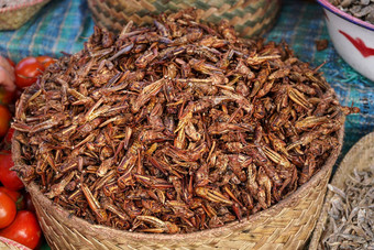 干炸蚱蜢蝗虫昆虫显示街食物市场马达加斯加