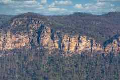 森林悬崖烧森林大火区域澳大利亚