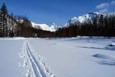 滑雪跟踪森林森林滑雪板