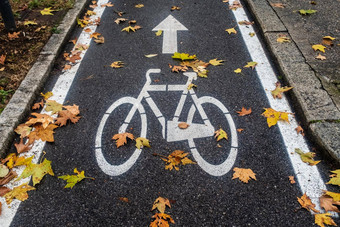 特写镜头单向自行车车道叶子下降拍摄布雷西亚意大利