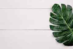 叶木表格作文前视图分支叶子木桌子上复制空间纹理背景树叶热带平躺最小的概念装饰自然