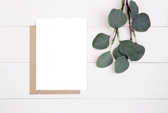 空白纸表复制空间模型叶木表格卡海报信封明信片装饰设计品牌简单最小的平躺前视图