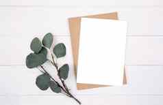 空白纸表复制空间模型叶木表格海报笔记本明信片装饰设计品牌简单最小的平躺前视图