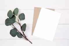 空白纸表复制空间模型叶木表格卡海报信封明信片装饰设计品牌简单最小的平躺前视图