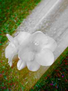 白色花花园模糊彩色的影响春天