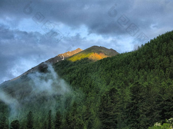 自然阿尔泰山景观森林水库阿尔泰